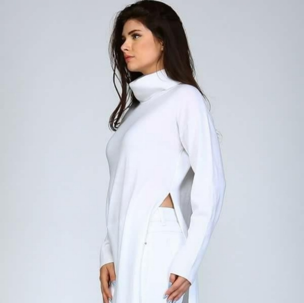 Knit Turtle neck top